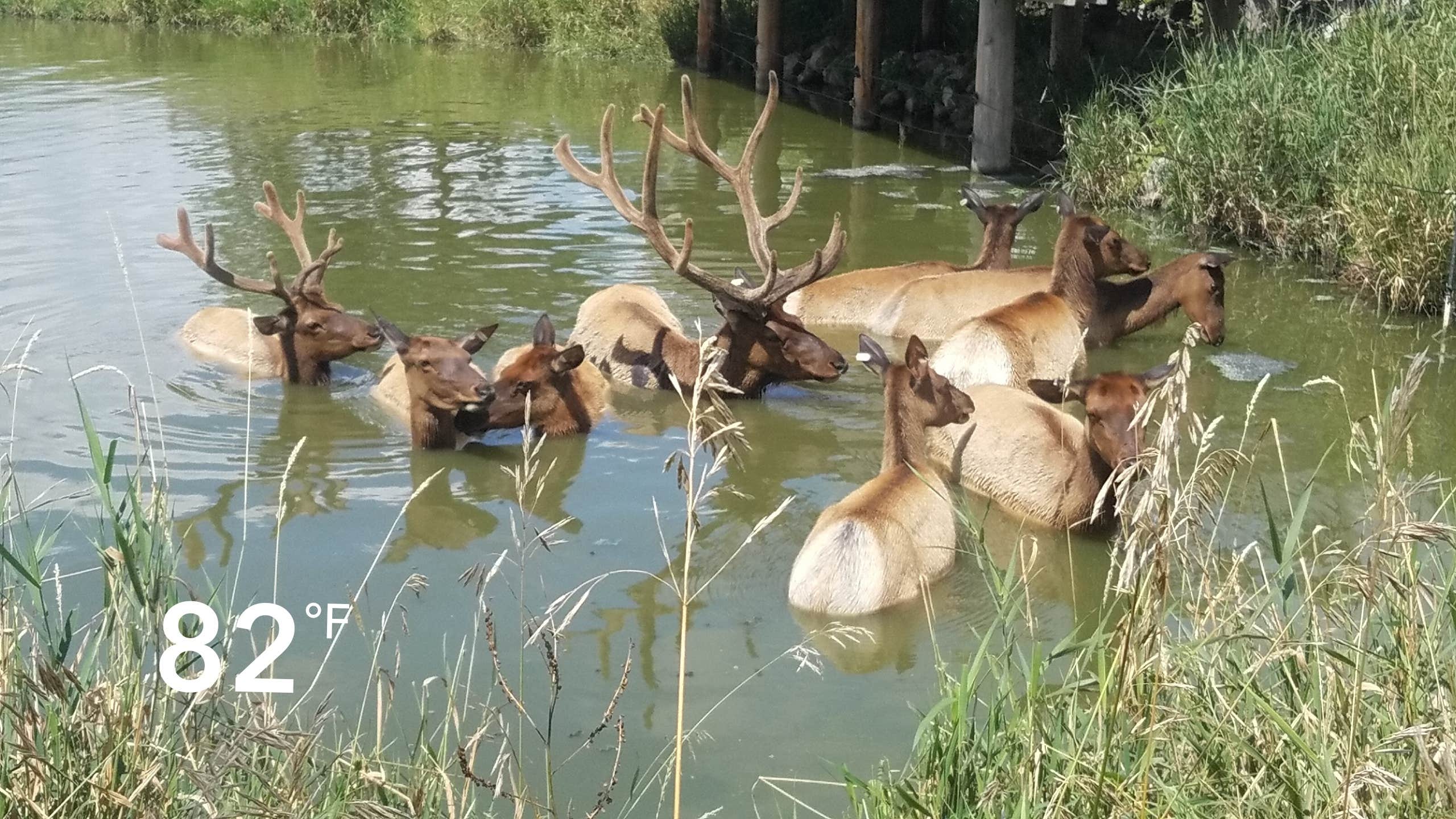 Camper-submitted photo at Jester County Park in Iowa