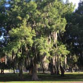 Review photo of Lake End Park Campground & Marina by Christine B., June 20, 2022