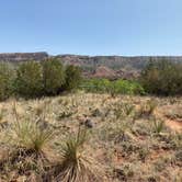 Review photo of Hackberry Campground — Palo Duro Canyon State Park by Amy & Stu B., June 20, 2022