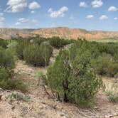 Review photo of Hackberry Campground — Palo Duro Canyon State Park by Amy & Stu B., June 20, 2022