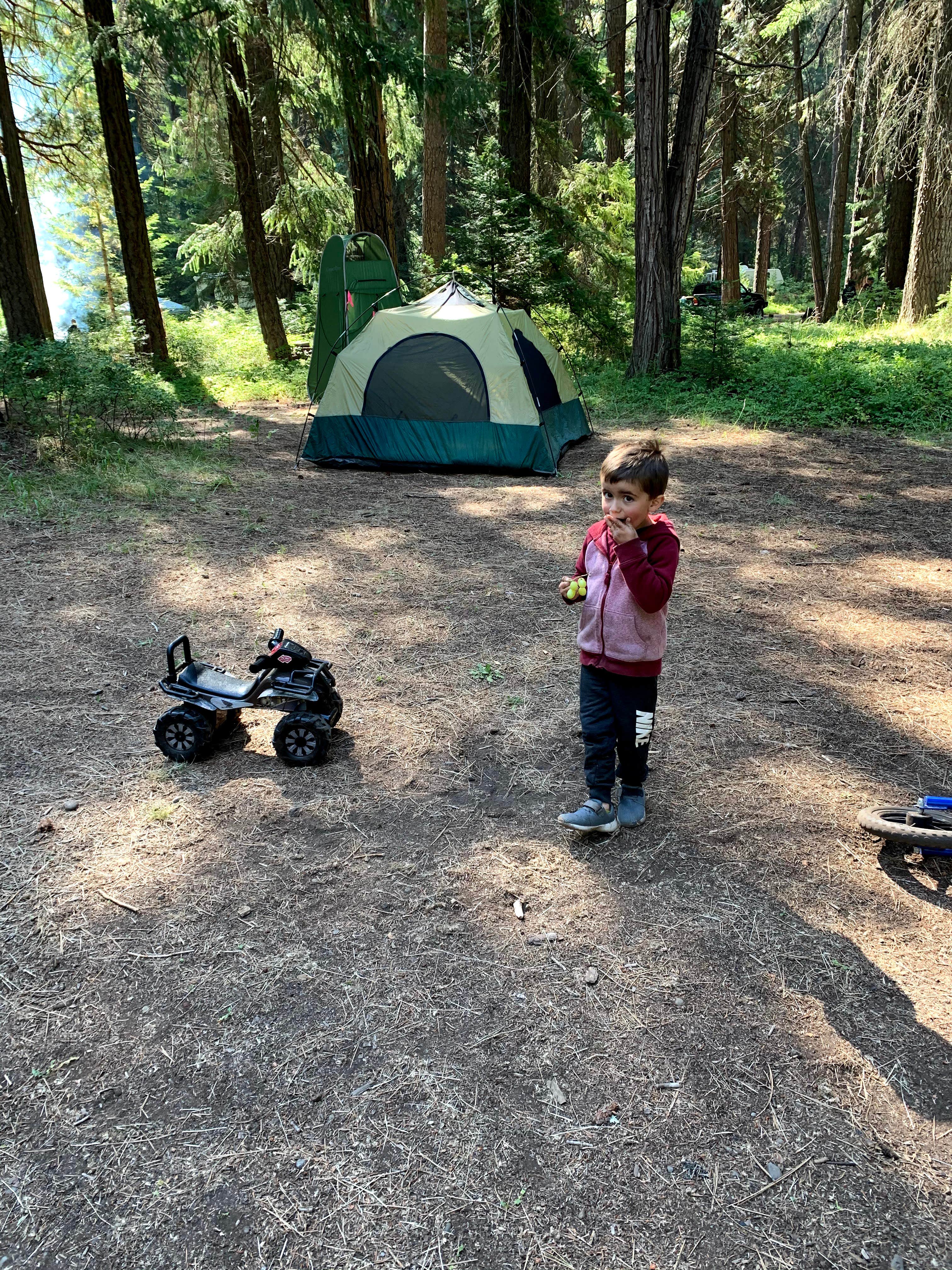 Camper submitted image from Pioneer Ford Campground - 5