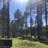 Review photo of RV Village Campground At Camp Richardson Resort — Lake Tahoe Basin Management Unit by Makena B., June 20, 2022