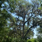 Review photo of Spacious Skies Savannah Oaks by frank M., June 20, 2022