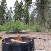 Review photo of Sequoia National Forest Quaking Aspen Campground by Amanda B., June 21, 2022