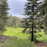Review photo of Sequoia National Forest Quaking Aspen Campground by Amanda B., June 21, 2022