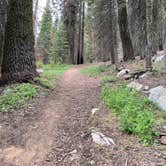 Review photo of Sequoia National Forest Quaking Aspen Campground by Amanda B., June 21, 2022