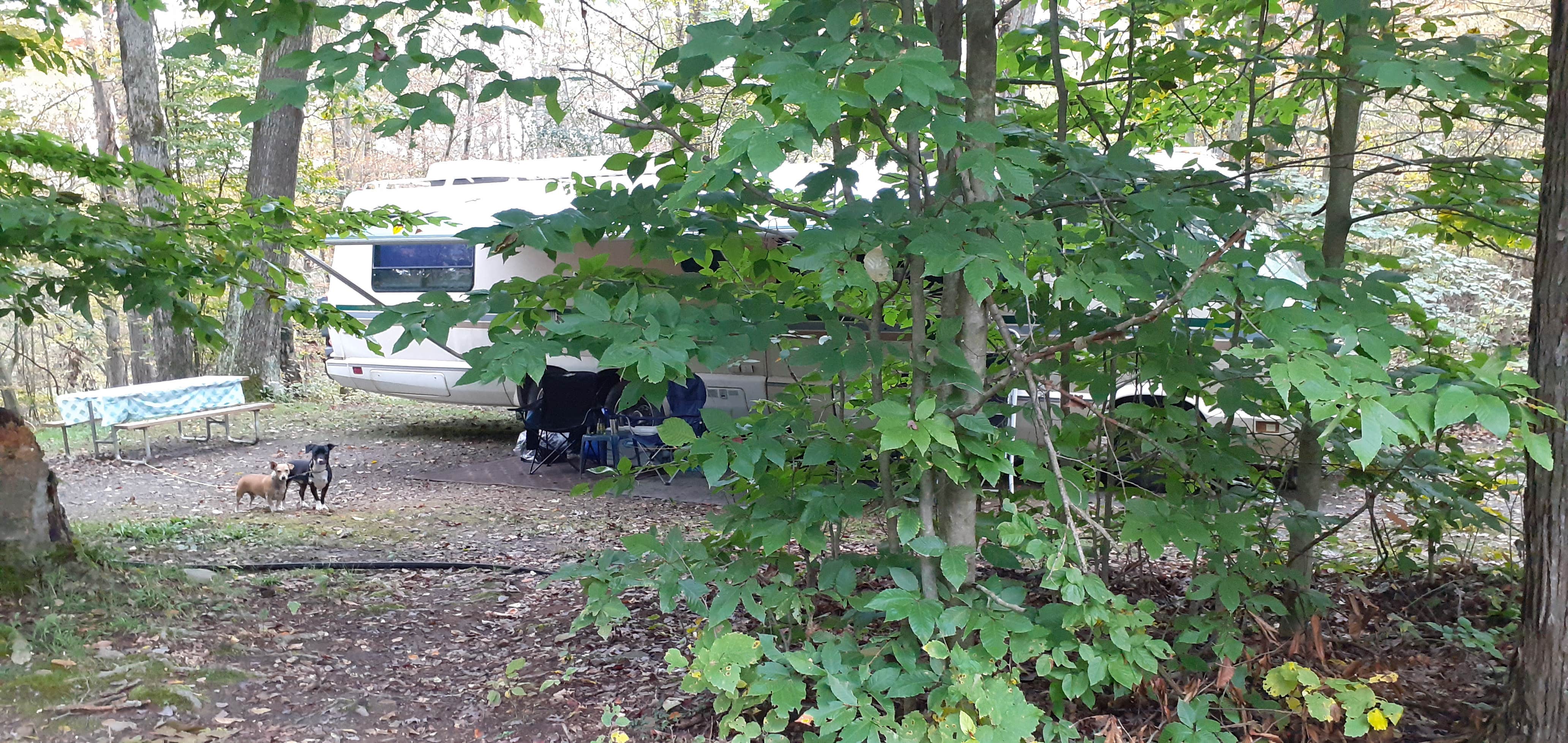 Camper-submitted photo at Ferenbaugh Campground near Addison, NY