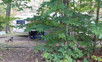 Rick K.'s photo of camping with pets at Ferenbaugh Campground near Tioga-Hammond Lakes