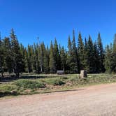 Review photo of Cordova Pass by Lori H., June 21, 2022