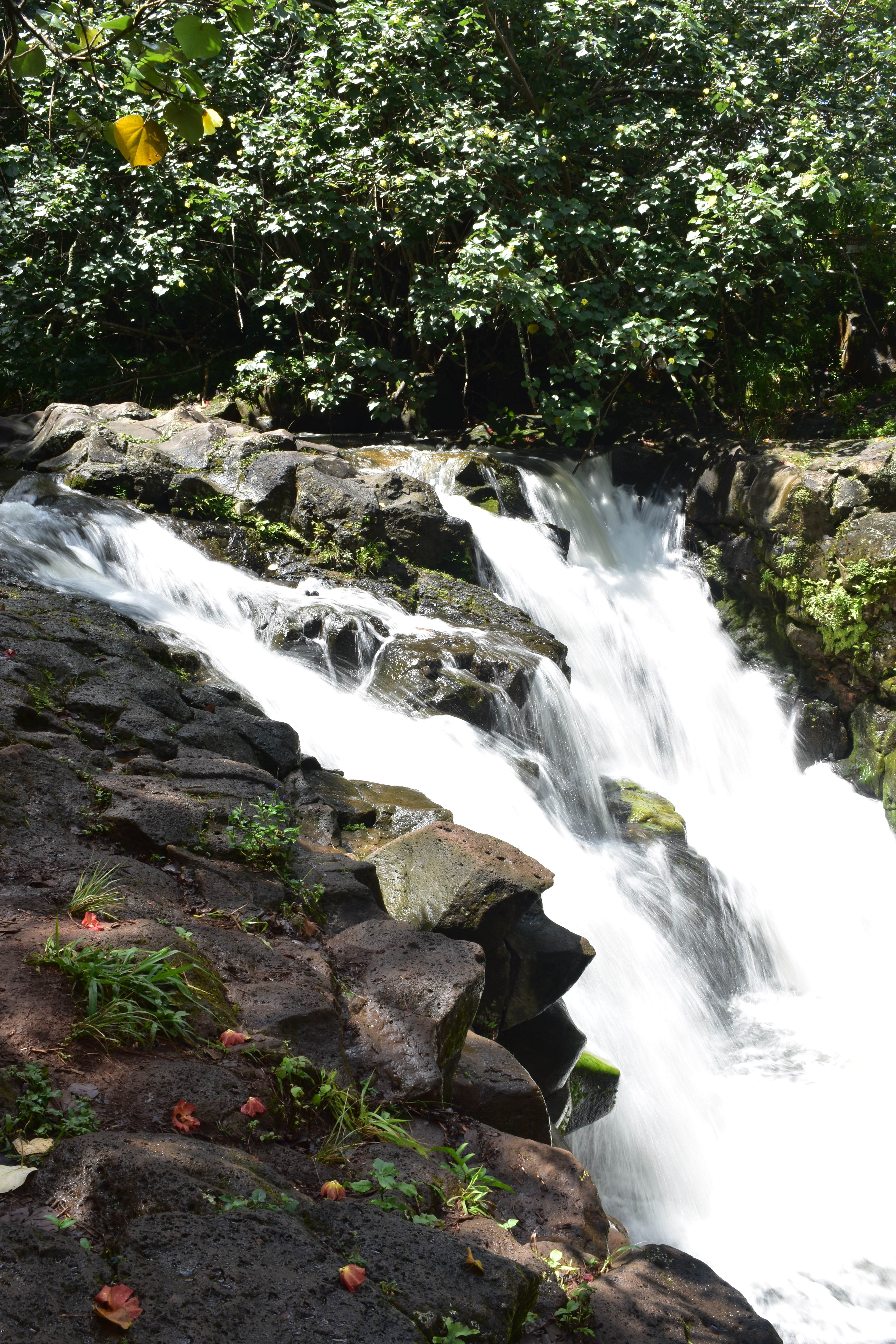 Camper submitted image from Kauai County Niumalu Park - 3