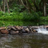 Review photo of Kauai County Niumalu Park by Sasha W., July 16, 2018