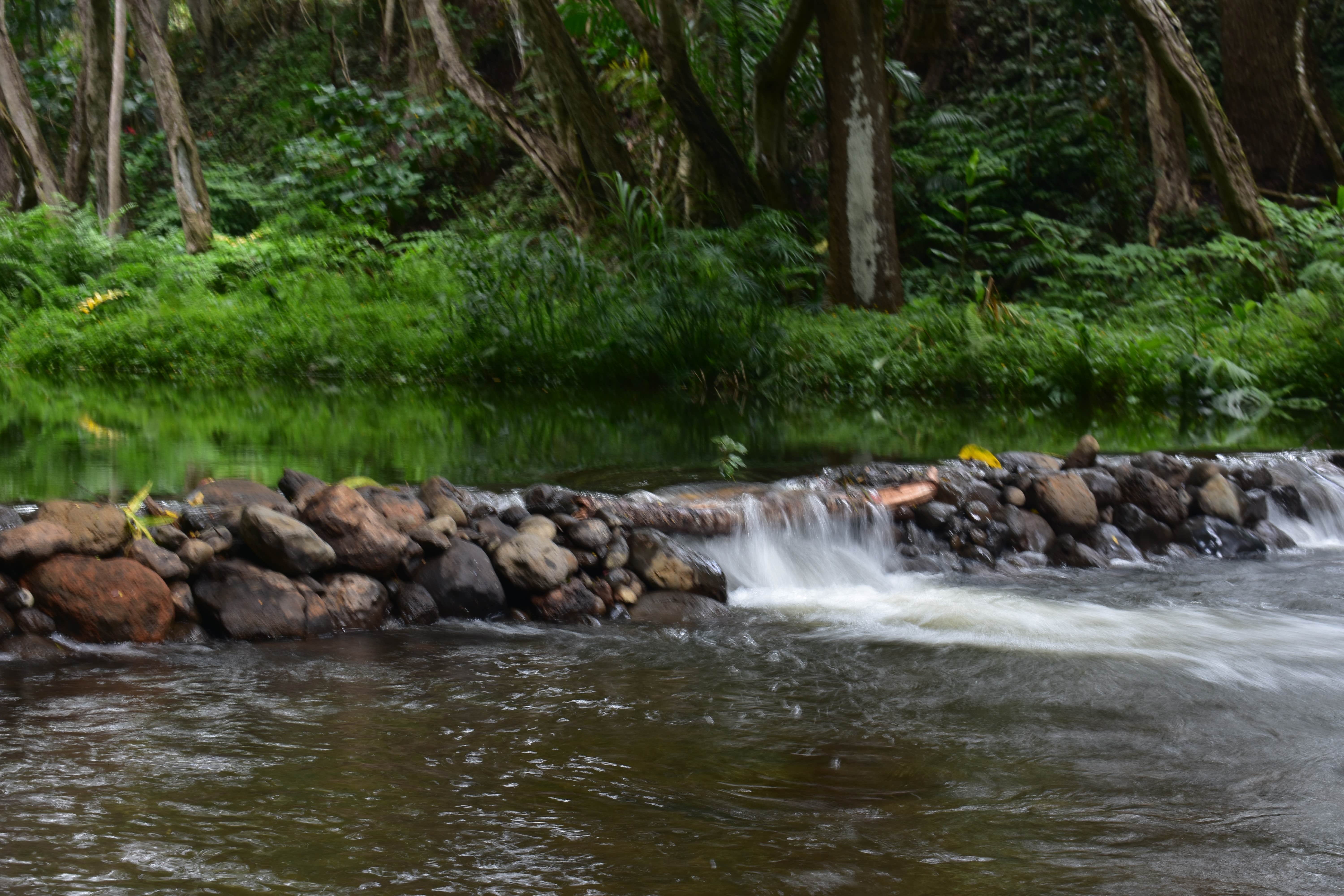 Camper submitted image from Kauai County Niumalu Park - 2