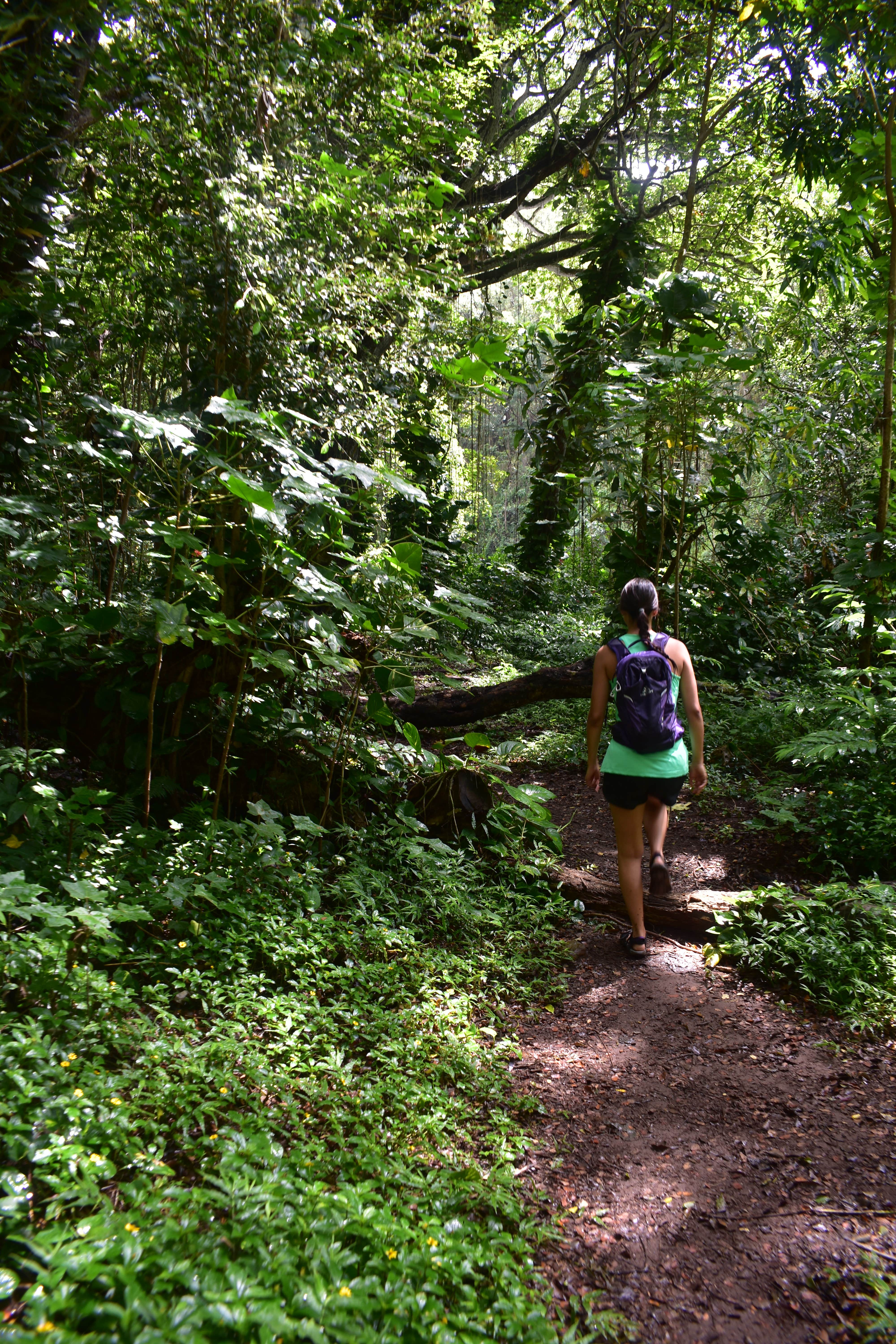 Camper-submitted photo at Kauai County Niumalu Park near Kapa‘a, HI