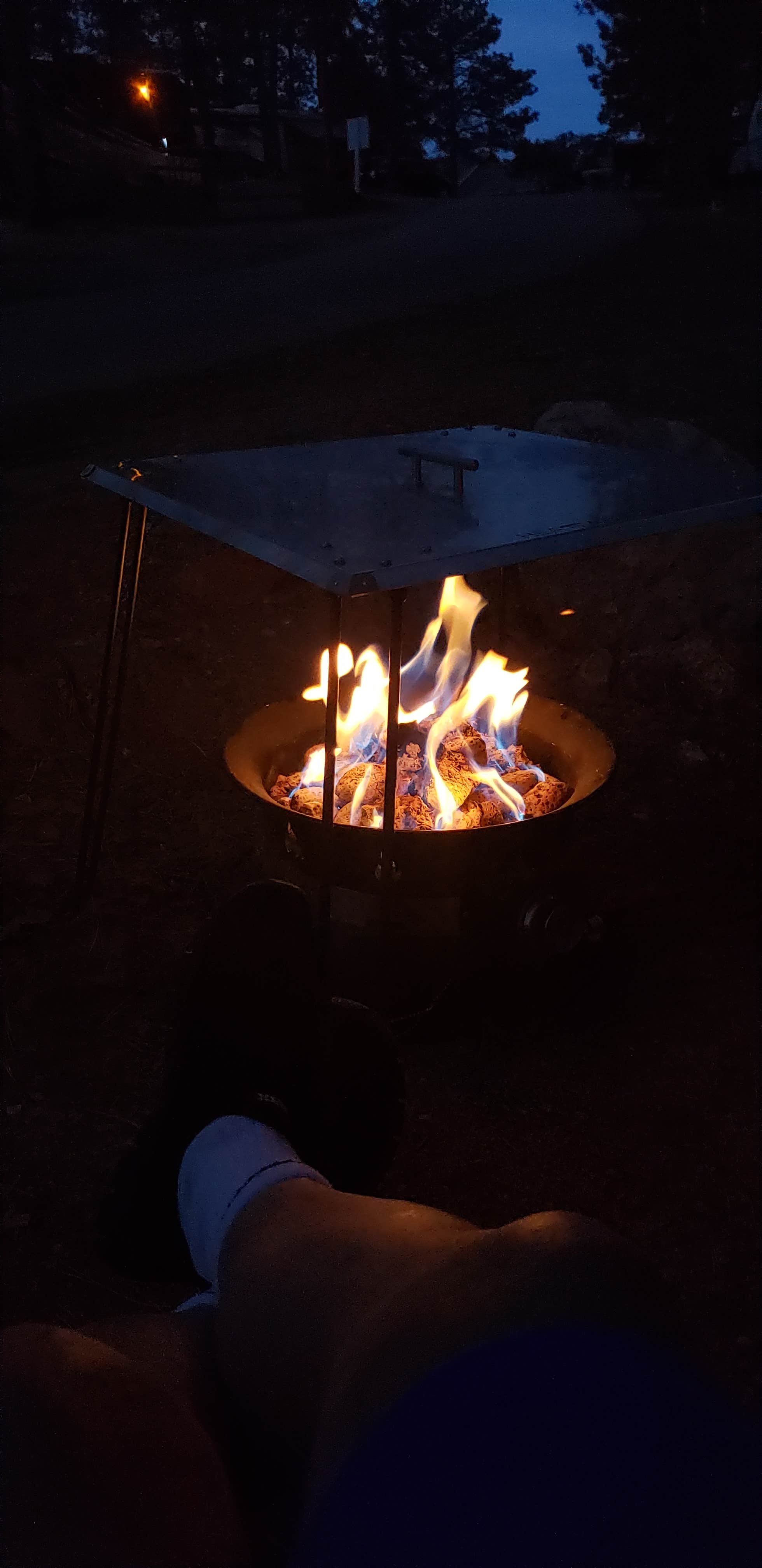 Camper-submitted photo at Colorado Heights Resort near Castle Rock, CO