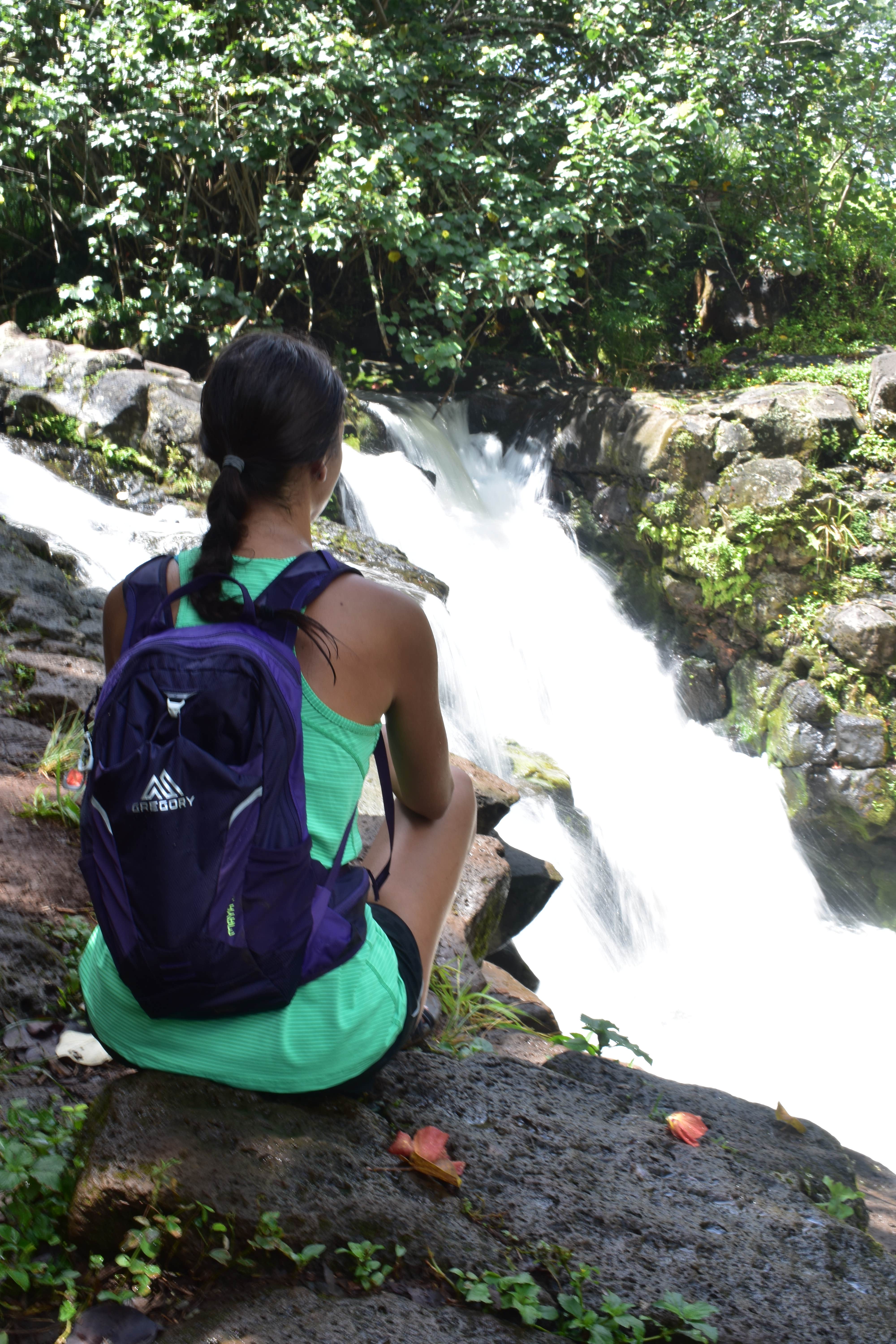 Camper submitted image from Kauai County Niumalu Park - 4