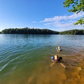 Review photo of East Campground — Norris Dam State Park by Greg S., June 21, 2022