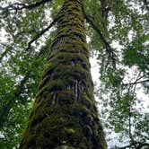 Review photo of Rasar State Park Campground by Nancy G., June 21, 2022