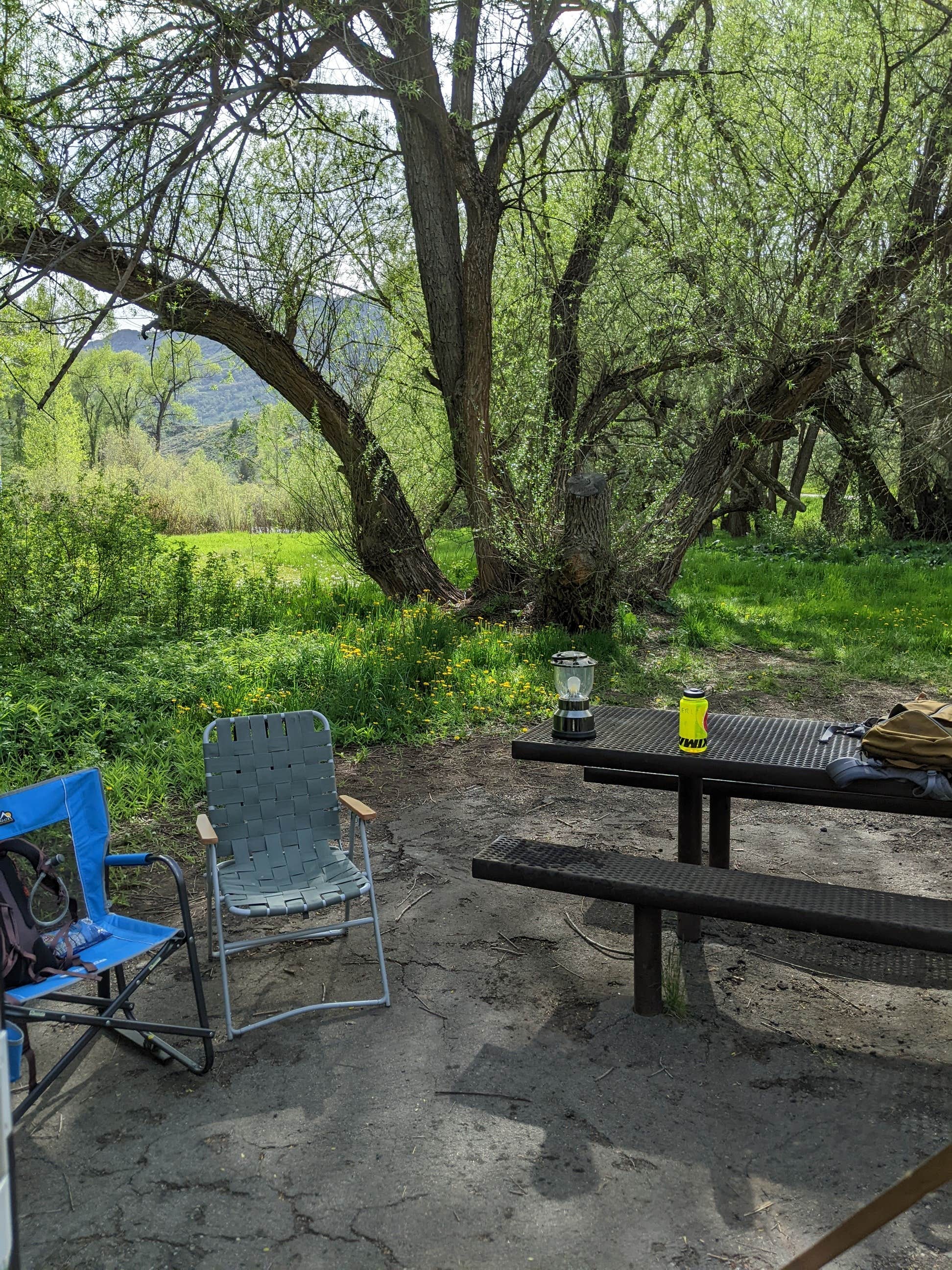 Camper-submitted photo at Perception Park near Huntsville, UT
