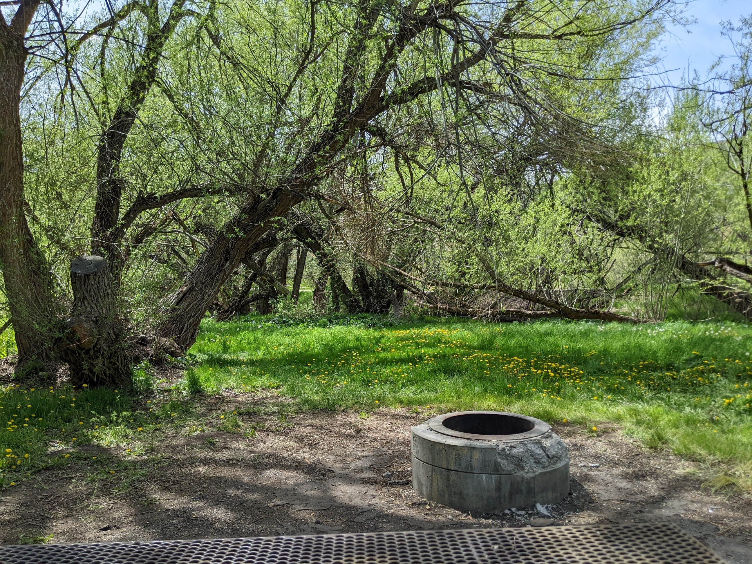Camper-submitted photo at Perception Park near Huntsville, UT