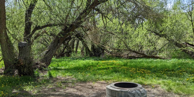 Camper submitted image from Perception Park