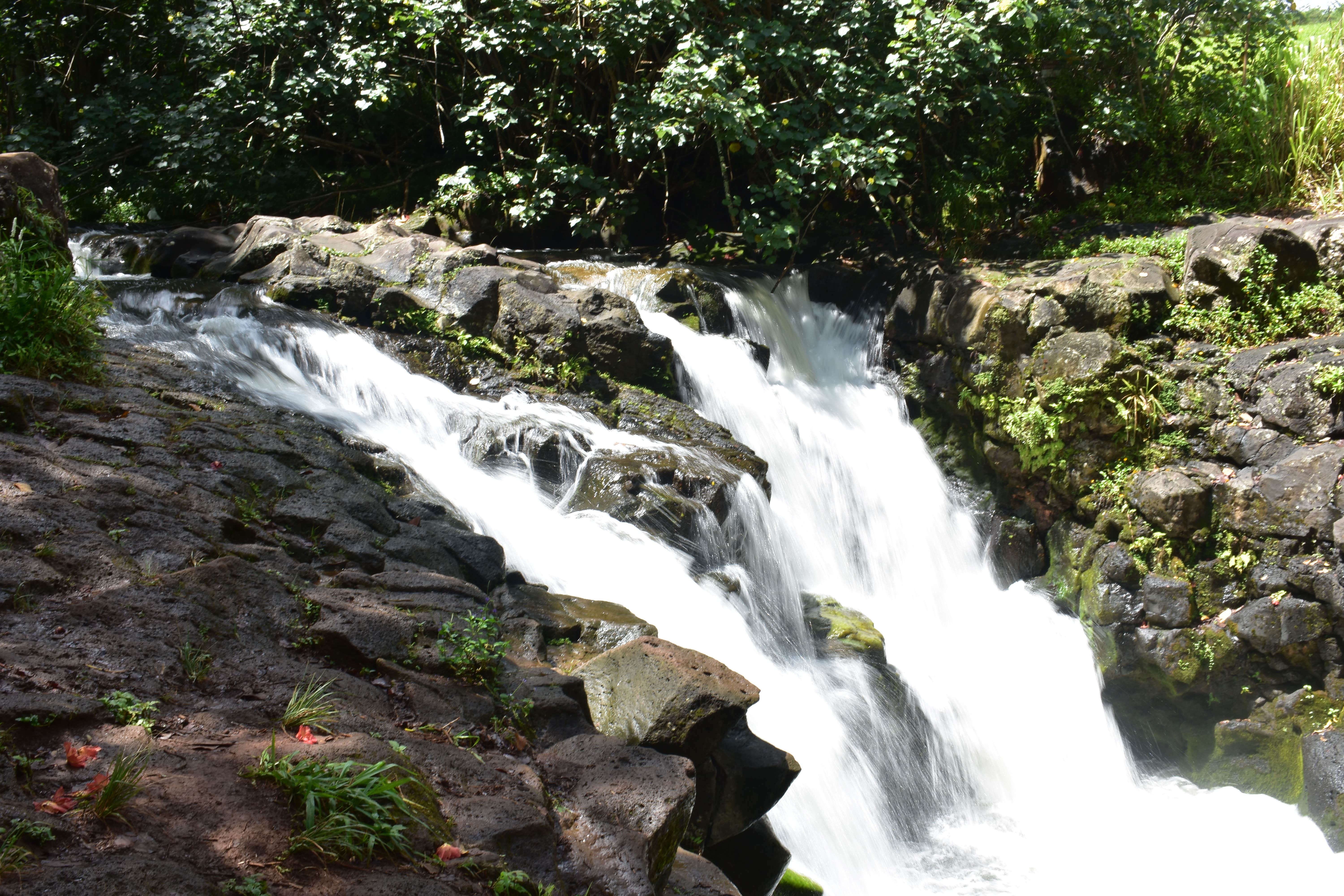 Camper submitted image from Kauai County Niumalu Park - 5