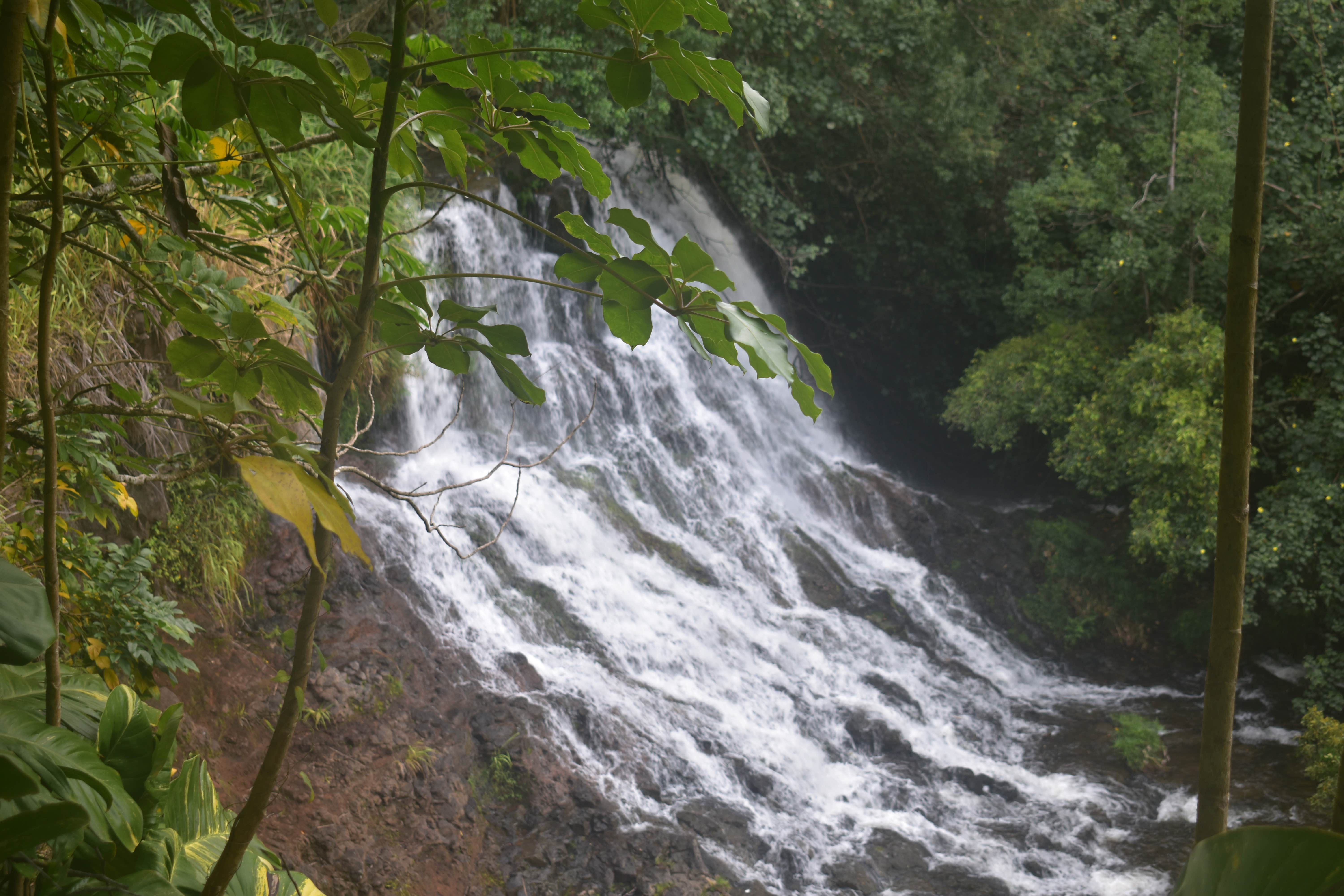 Camper-submitted photo at Kauai County Niumalu Park near Kapa‘a, HI