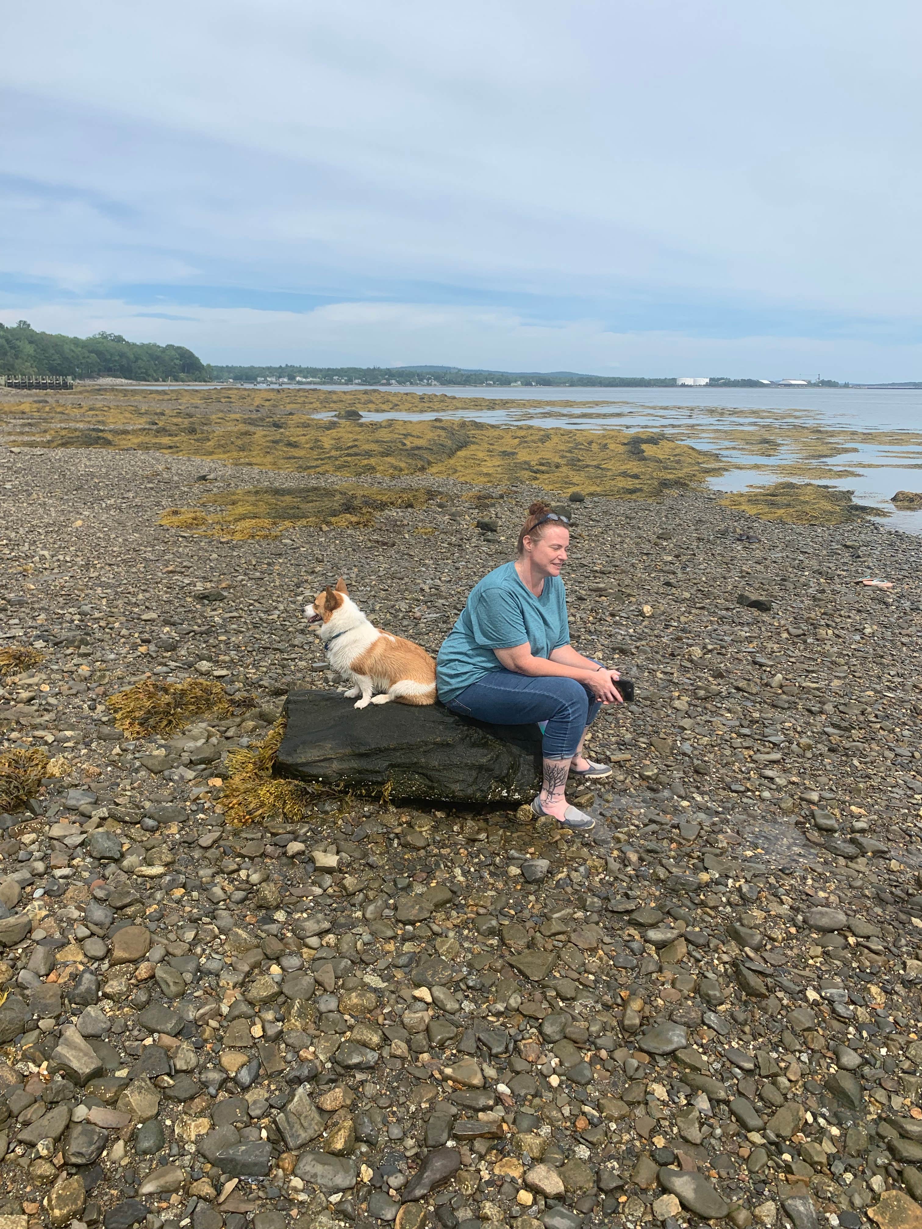 Dawn E.'s photo of camping with pets at Searsport Shores Ocean Campground near Stonington, ME