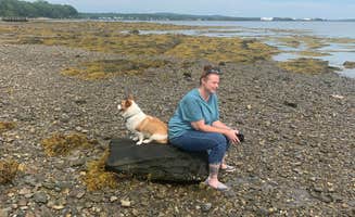 Dawn E.'s photo of camping with pets at Searsport Shores Ocean Campground near Searsport, ME