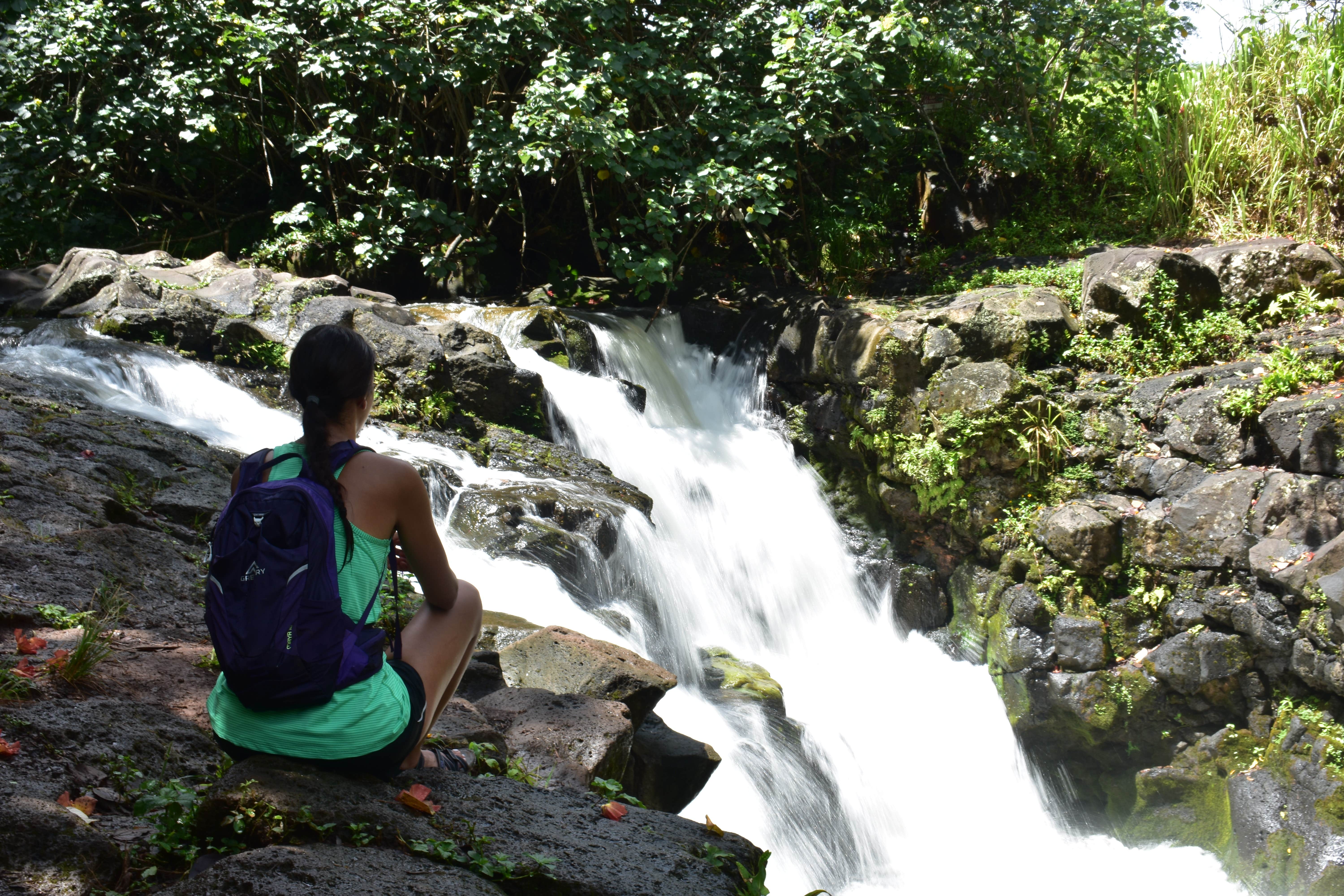 Camper submitted image from Kauai County Niumalu Park - 1