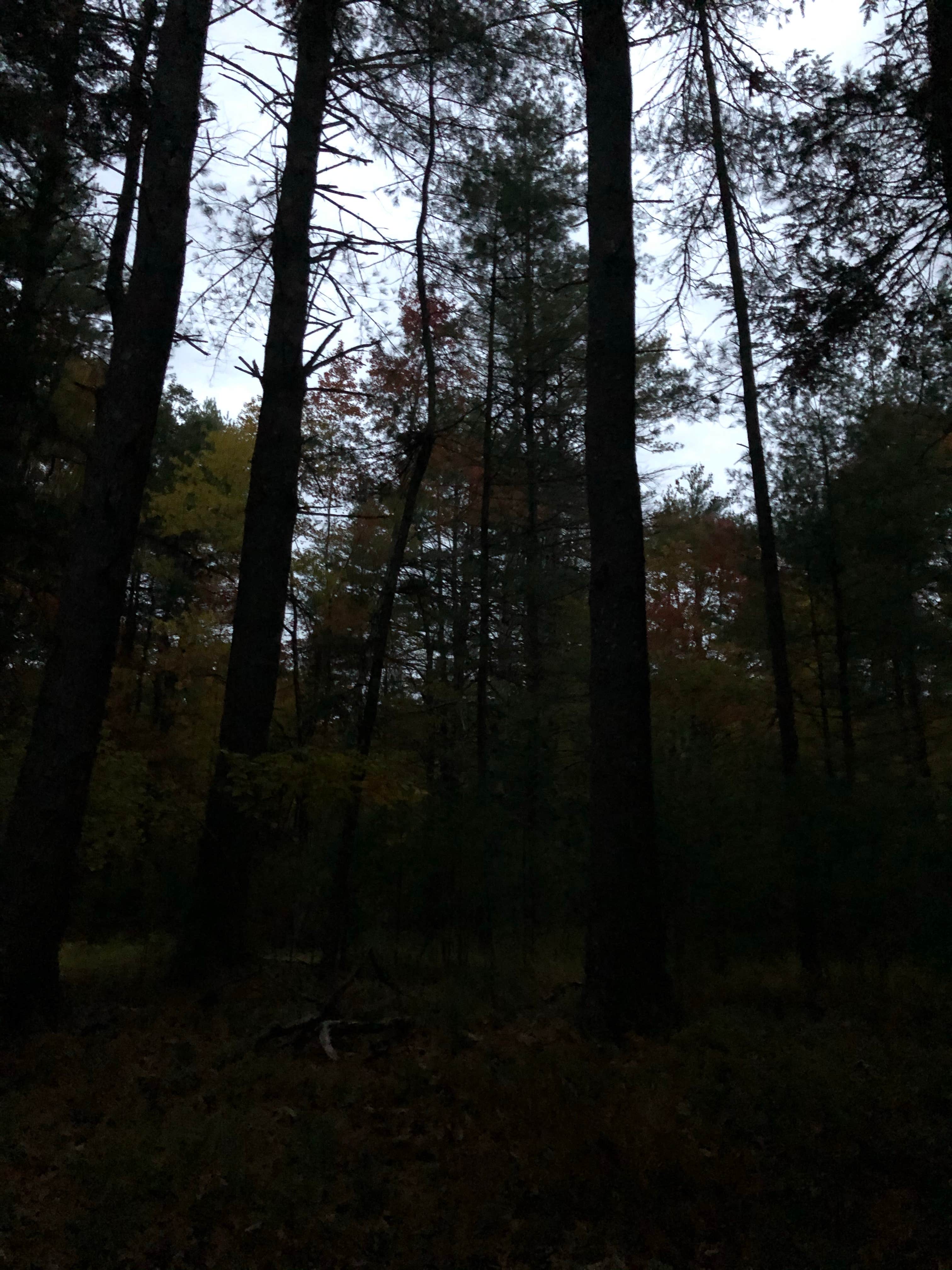 Camper-submitted photo at Oakland Valley Campground near Cuddebackville, NY