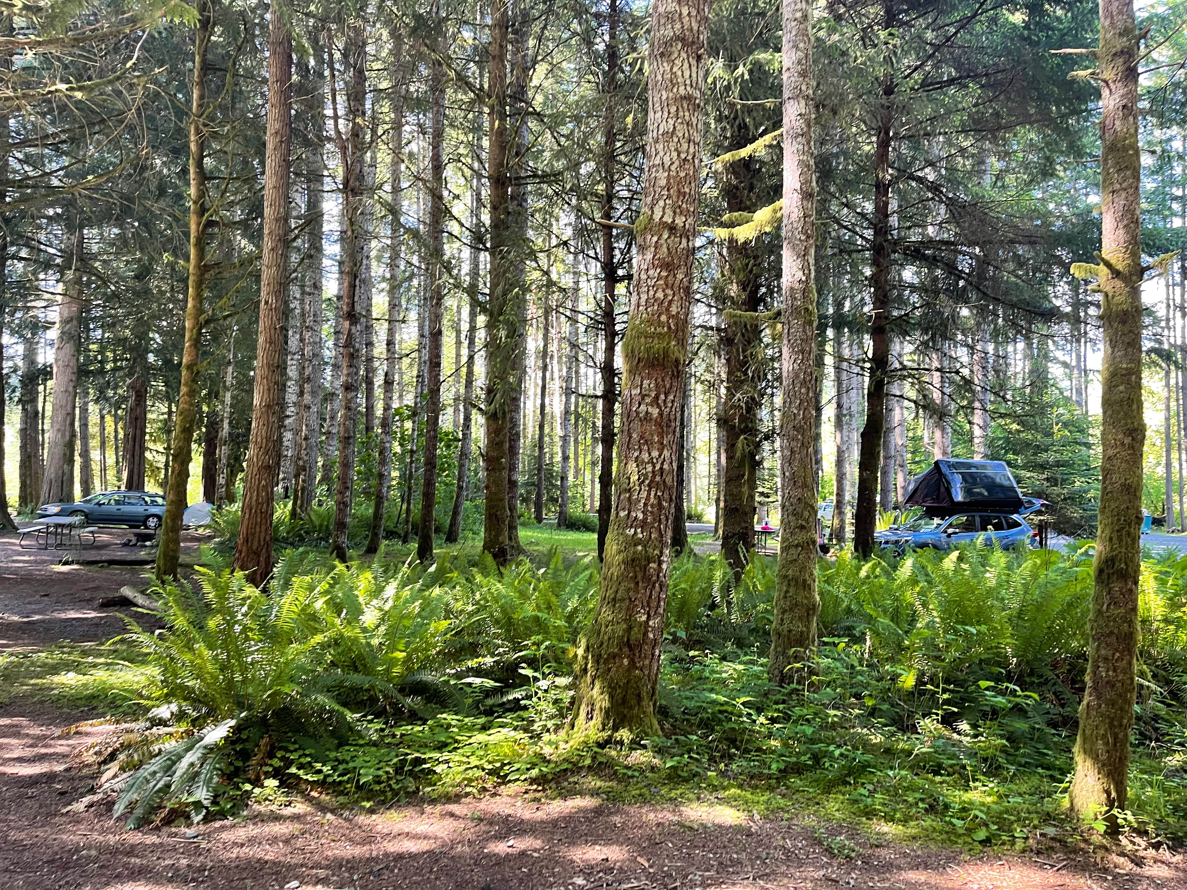 Corinna H.'s photo at Elkamp Eastcreek near McKenna, WA