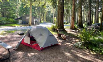 Camping near Alder Lake Park: Elkamp Eastcreek, Mineral, Washington