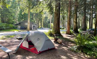 Corinna H.'s photo at Elkamp Eastcreek near Mineral, WA