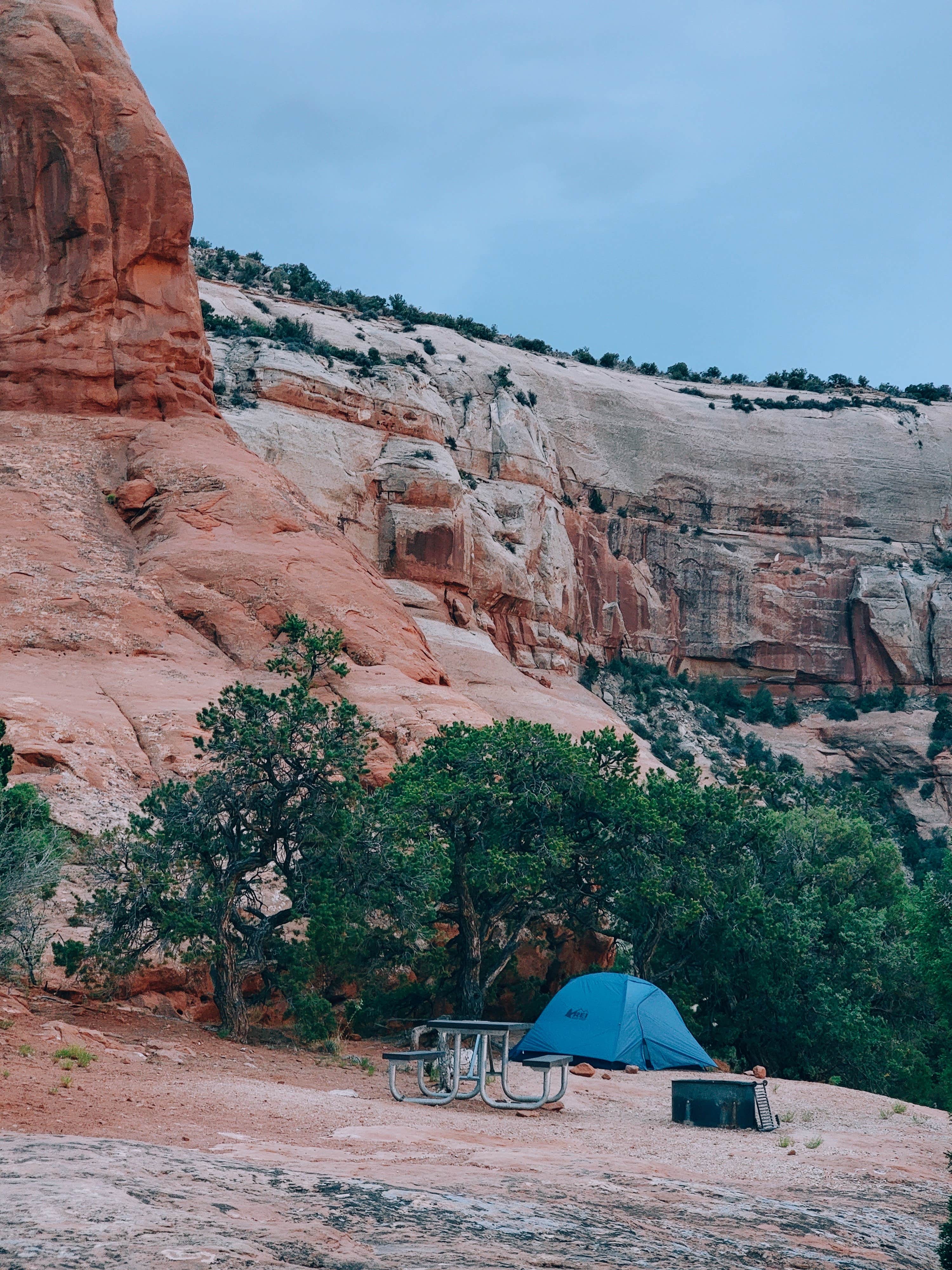 Camper-submitted photo at Windwhistle Campground near La Sal, UT