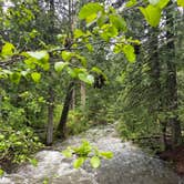 Review photo of Fish Creek Campground — Glacier National Park by Cynthia W., June 21, 2022