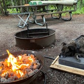 Review photo of Fish Creek Campground — Glacier National Park by Cynthia W., June 21, 2022