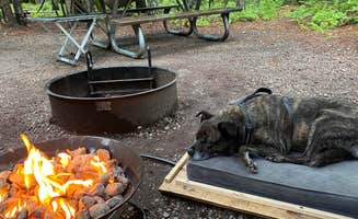 Cynthia W.'s photo of camping with pets at Fish Creek Campground — Glacier National Park near West Glacier, MT