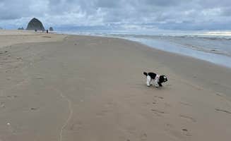 Kelly H.'s photo of camping with pets at Sea Ranch Resort near Astoria, OR