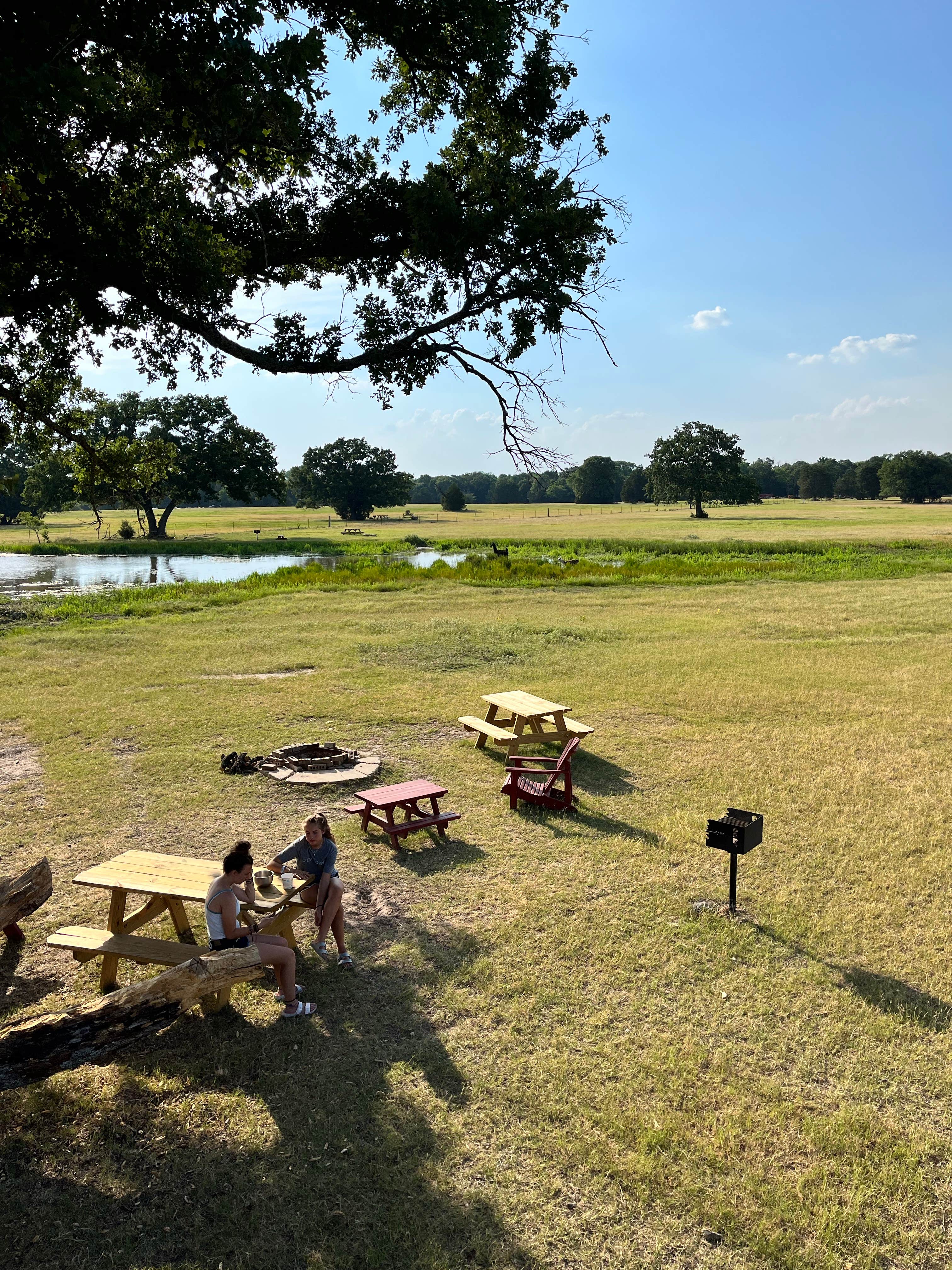 Camper-submitted photo at Llamaland Ranch near Mabank, TX