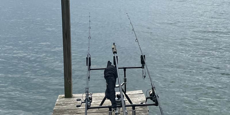 Camper submitted image from Back-Achers Campsites