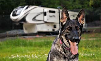 Angela S.'s photo of camping with pets at Plum Branch RV Park near Ninety Six, SC