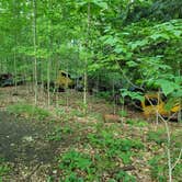 Review photo of North Manitou Island Backcountry Campsites by Jason H., June 21, 2022