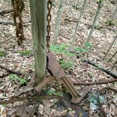 Review photo of North Manitou Island Backcountry Campsites by Jason H., June 21, 2022