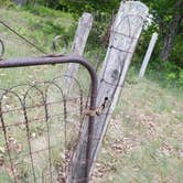 Review photo of North Manitou Island Backcountry Campsites by Jason H., June 21, 2022