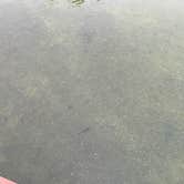 Review photo of Hidden Lake Campground and Resort by Katie O., June 14, 2022