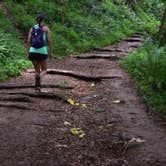 Review photo of Kōkeʻe State Park Campground by Sasha W., July 16, 2018