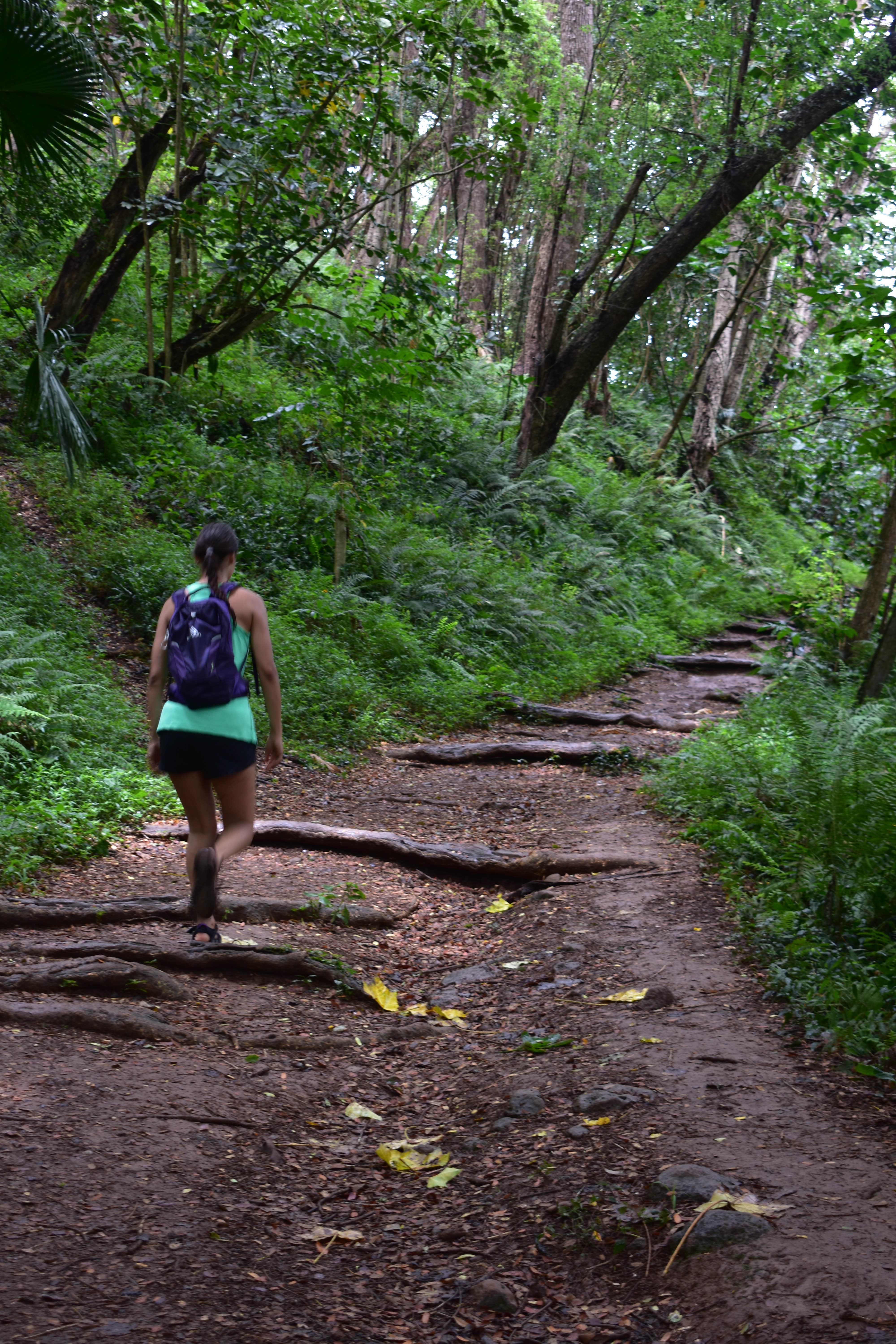 Camper submitted image from Kōkeʻe State Park Campground - 5