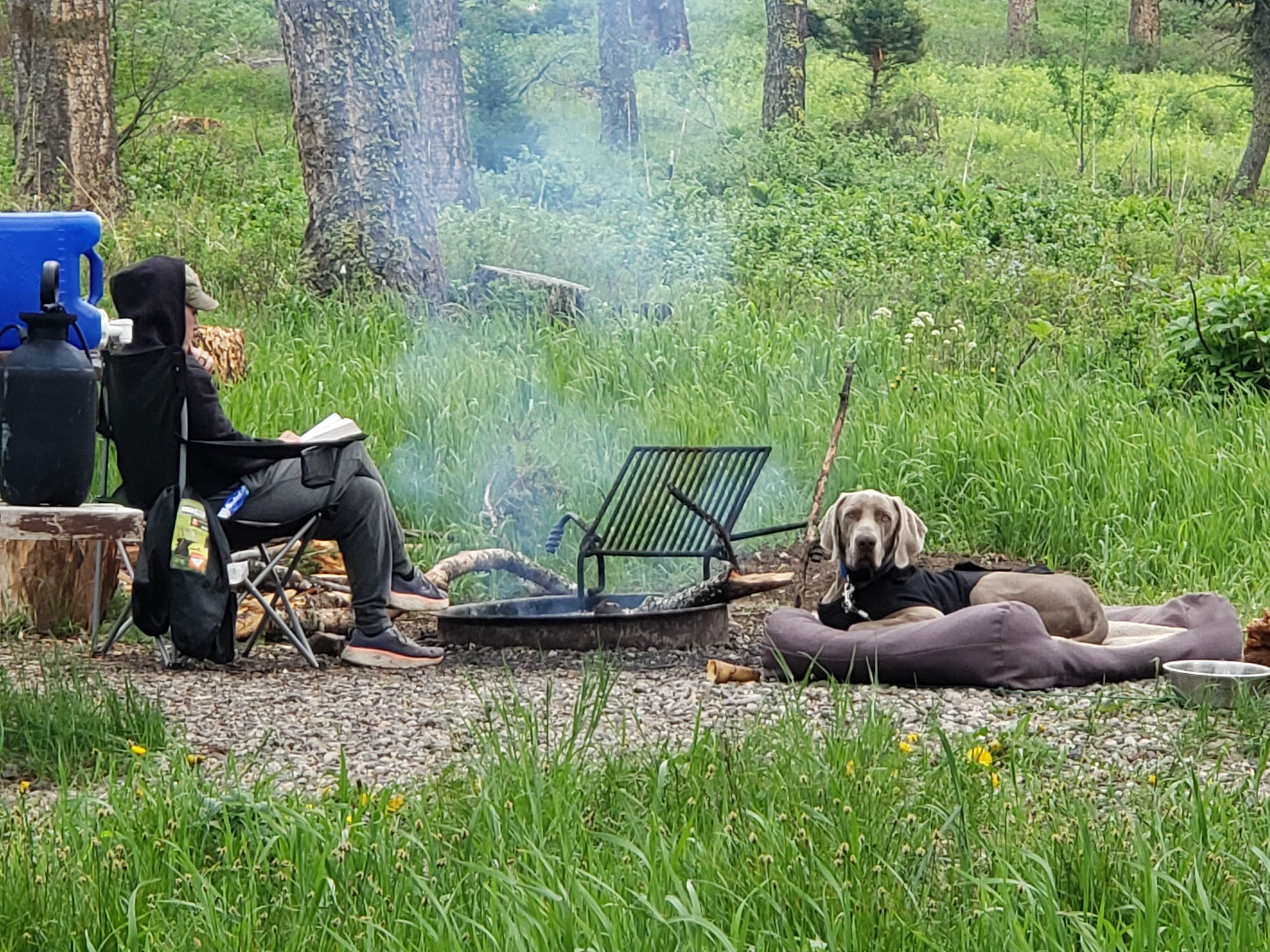 Camper-submitted photo at Battle Ridge Campground near Belgrade, MT