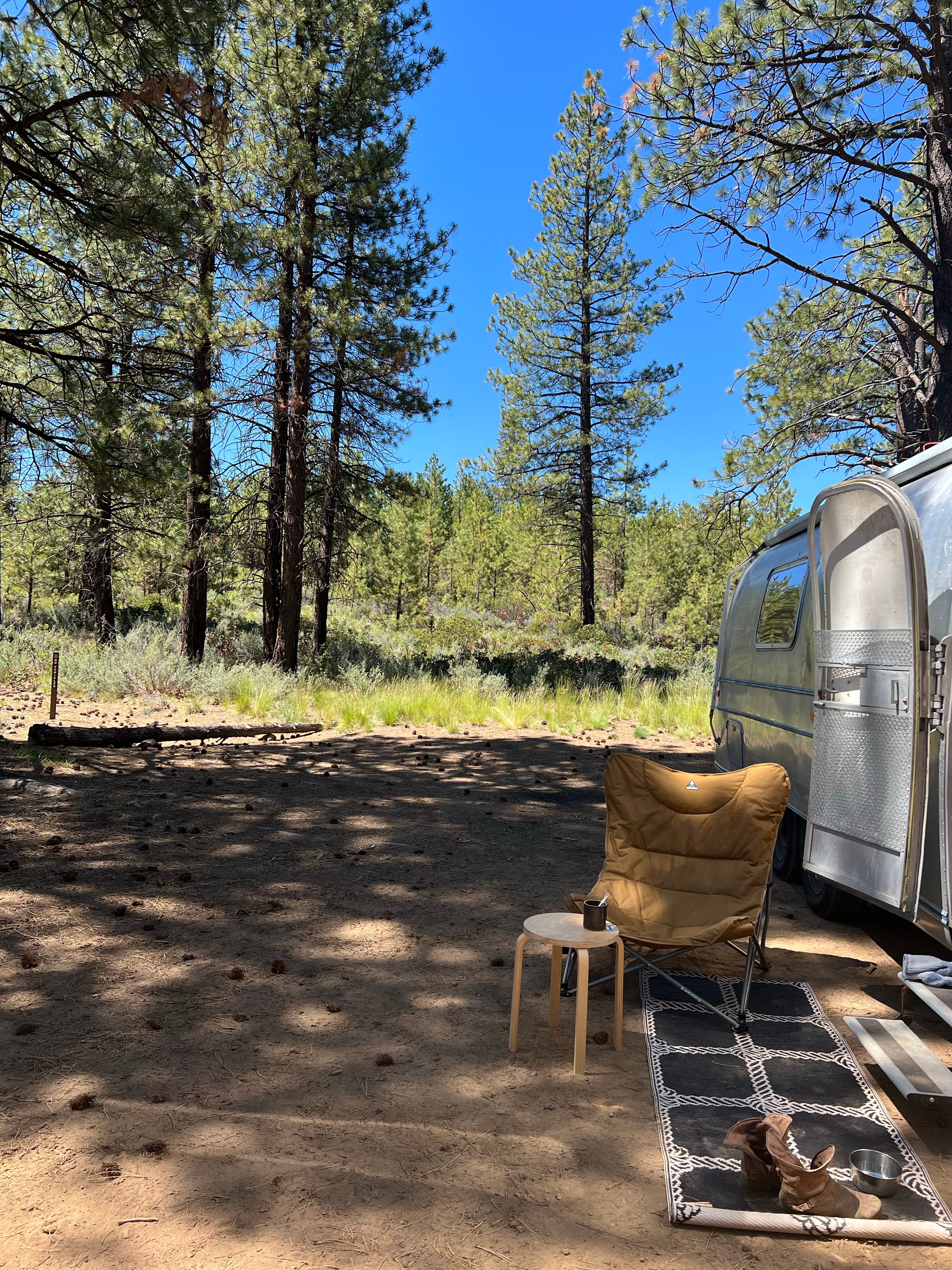 Camper submitted image from Deschutes National Forest Dispersed Camping Spot - PERMANENTLY CLOSED - 4