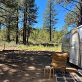 Review photo of Deschutes National Forest Dispersed Camping Spot - PERMANENTLY CLOSED by Katie , June 21, 2022